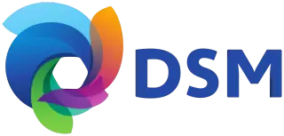 DSM